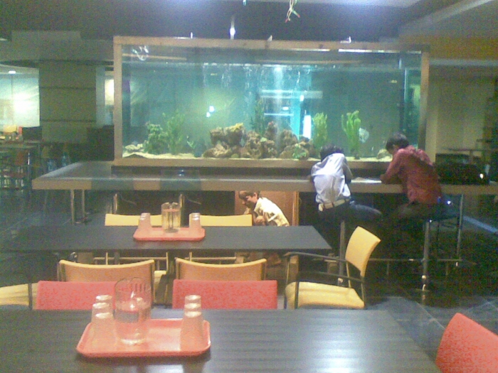 food court aquarium